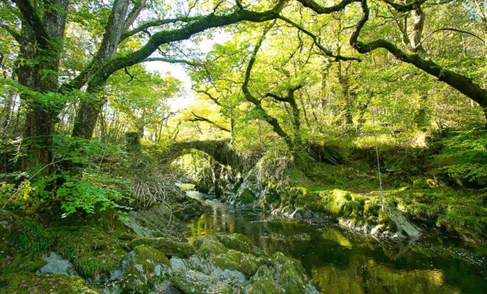 Snowdonia Slate Trail